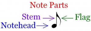 Musical Note - Components of an eighth note